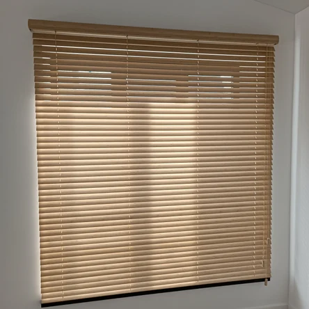 Горизонтальные жалюзи